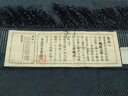 平和屋着物▽極上　本塩沢　単衣　110亀甲　横段文　宮田織物謹製　証紙付き　逸品　DZAB8000kh5