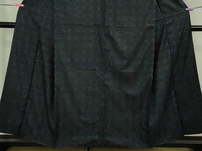 平和屋着物●希少 本場大島紬 龍郷絣 秋名バラ 逸品 DZAB1158kh5