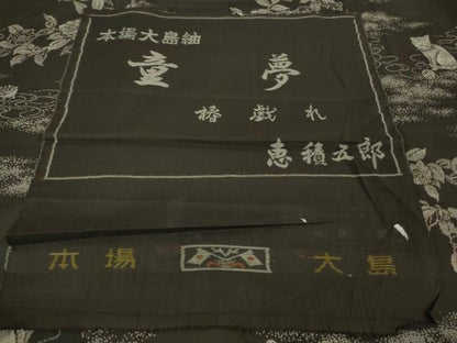 平和屋本店■極上 白泥染の第一人者・絣の魔術師 恵積五郎 本場大島紬 恵大島織物謹製 猫 さが美扱い 反端付き 逸品 未使用　DZAB1306kh5