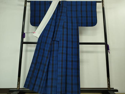 平和屋本店▽極上　浦野理一　経節紬　単衣　格子　逸品　DZAB1374kh5