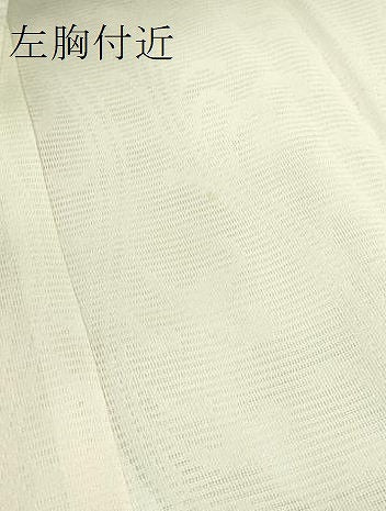 平和屋着物＊夏物 京都老舗銘店・に志田 長襦袢 絽 立涌唐草文 たとう紙付き 逸品 DZAB1548kh5