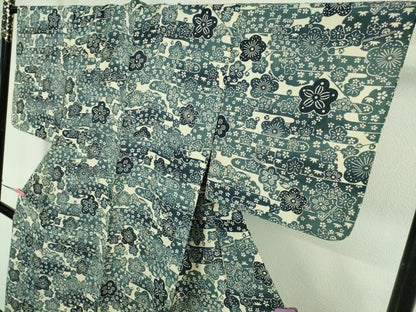 平和屋着物＊極上　夏物　銀座　志ま亀　小紋　絽　雪輪　エ霞花文　暈し染め　たとう紙付き　逸品　DZAB1913kh6