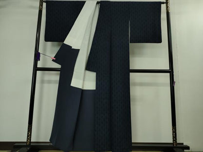 平和屋着物●極上　綿薩摩　木綿　100亀甲　間道　逸品　DZAB1968kh6