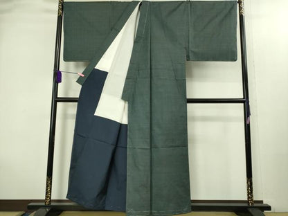 平和屋着物■極上　男性　本場大島紬　アンサンブル　キングサイズ　100亀甲　総詰め　長羽織　逸品　未使用　DZAB2167kh6