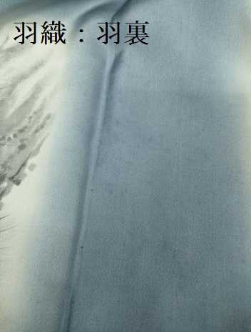 平和屋着物■極上　男性　本場大島紬　アンサンブル　長羽織　100亀甲　総詰め　逸品　DZAB2173kh6