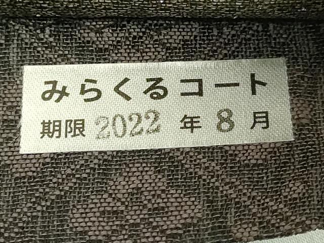 平和屋着物●極上　両面　六通柄袋帯　スリーシーズン帯　正倉院花唐草　金糸　逸品　DZAB2327kh6