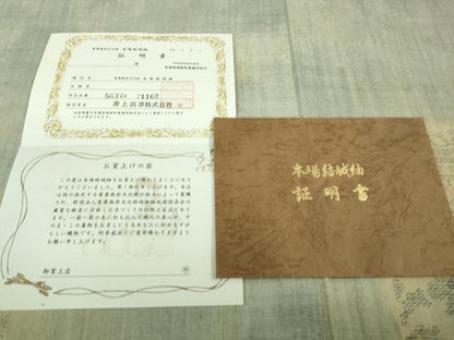 平和屋本店●極上　本場結城紬　重要無形文化財　100亀甲　飛び亀甲柄　井上商事謹製　色紙花文　証紙・証明書付き　逸品　DZAB2408kh6
