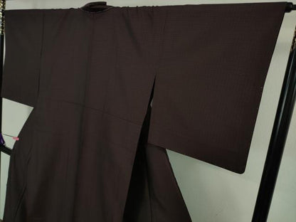 平和屋着物▽極上 お召 単衣 黒鳶色 京都きもの友禅扱い 逸品 未使用 DZAB2479kh6