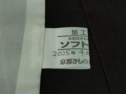 平和屋着物▽極上 お召 単衣 黒鳶色 京都きもの友禅扱い 逸品 未使用 DZAB2479kh6