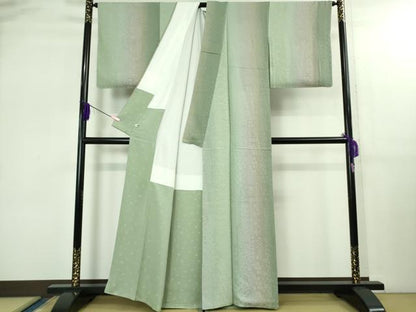 平和屋着物●極上 小紋 お召地 花唐草 名物裂地紋 暈し染め 逸品 未使用 DZAB2596kh6