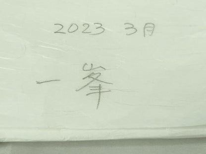 平和屋着物●極上　BANKANわものや　紬　市松文様　たとう紙付き　逸品　DZAB2768kh6