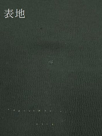 平和屋着物●極上　アンティーク　大正ロマン　九寸名古屋帯　総手刺繍　枝花文　黒地　金糸　逸品　DZAB2867kh6