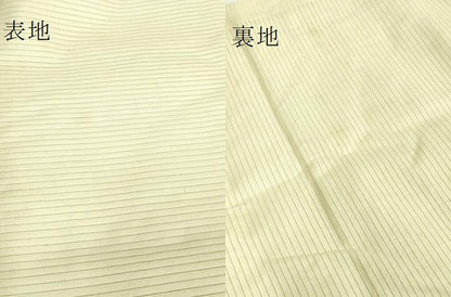 平和屋着物＊極上 夏物 アンティーク 大正ロマン 九寸名古屋帯 手描き 川蝉 蓮 逸品 DZAB2897kh6