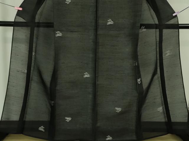 平和屋着物＊極上 夏物 紗紬 飛兎 黒地 逸品 DZAB3263kh6