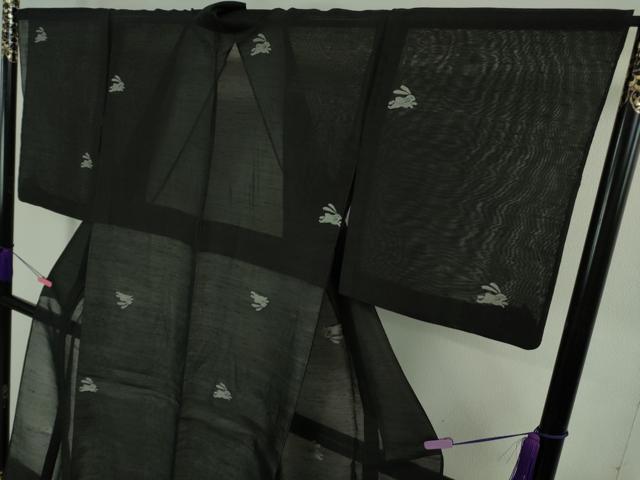 平和屋着物＊極上 夏物 紗紬 飛兎 黒地 逸品 DZAB3263kh6