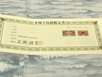 平和屋着物●極上　本場大島紬　白大島　名匠たかし　白紬泥染　カモメ　証紙・鑑定証付き　逸品　DZAB3493kh6