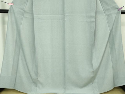 平和屋本店＊極上 夏物 江戸小紋 絽 両面染 立涌間道 理幸好み 反端付き 逸品 未使用 DZAB3581kh6