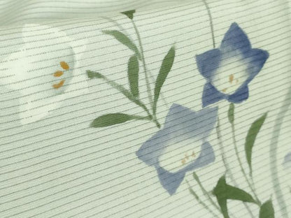平和屋本店▽極上　訪問着　無双　紗袷　紗×絽　手描き　秋草文　暈し染め　逸品　DZAB3725kh6