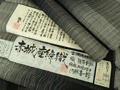 平和屋本店＊極上 夏物 赤城紬 赤城座繰織 糸引き 玉繭糸 小杉工房謹製 証紙付き 逸品 未使用 DZAB3775kh6