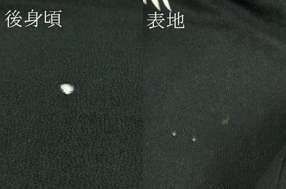 平和屋本店▽極上 アンティーク 単衣 大正ロマン 振袖 駒刺繍 飛鶴文 暈し染め 黒地 金彩 逸品 DZAB3827kh6