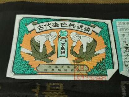 平和屋本店●極上 絣の魔術師 恵積五郎 本場大島紬 恵大島織物謹製 訪問着　9マルキ　古代染色純泥染　絣百撰　証紙付き　逸品　DZAB4071kh6