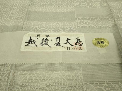 平和屋着物＊極上 夏物 越後夏大島物語 伝統工芸士 白川貞夫 十日町白新染織謹製 証紙付き 逸品 DZAB4073kh6