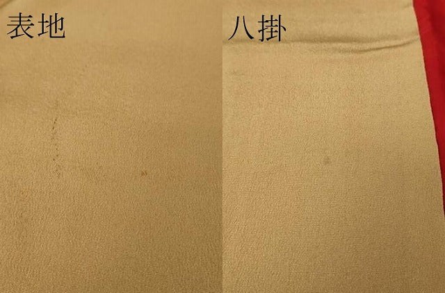 平和屋本店●極上 アンティーク 大正ロマン 振袖 色無地 伽羅色 逸品 DZAB4152kh6