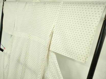 平和屋着物＊極上　夏物　本塩沢　夏塩沢　手絣　越後塩澤織司工房　大嶋謙松作　けんしょう好み　大丸扱い　証紙付き　逸品　DZAB4334kh6