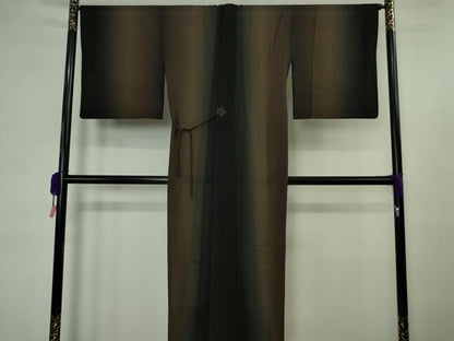 平和屋着物∞極上　道中着　スリーシーズン　春夏秋　塵除け　ロング丈　暈し染め　逸品　DZAB4467kh6