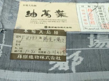 平和屋着物●極上　都喜ヱ門　本場大島紬　紬萬葉　9マルキ　陽光の優しさ　藤絹織物謹製　証紙付き　逸品　DZAB4870kh6