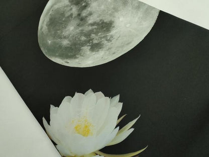 平和屋着物●極上　太鼓柄　京袋帯　月下美人　満月　黒地　逸品　DZAB5007kh6