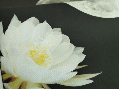 平和屋着物●極上　太鼓柄　京袋帯　月下美人　満月　黒地　逸品　DZAB5007kh6