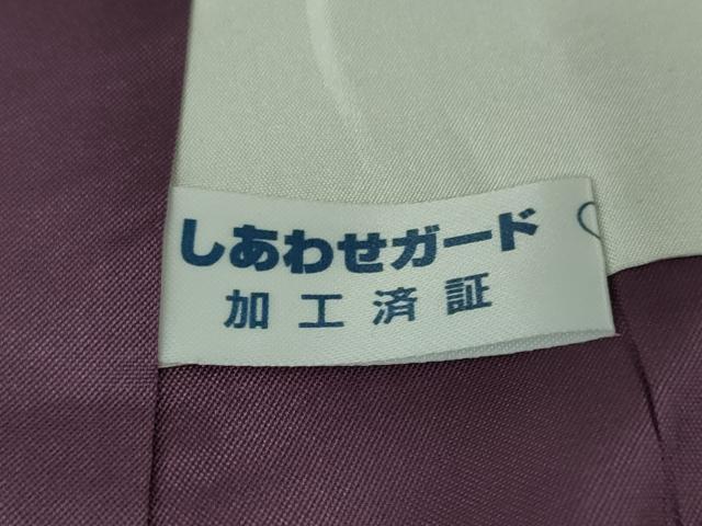 平和屋本店●極上　訪問着　お召地　鬼　雷様　濃い熨斗目花色地　ロング丈　逸品　DZAB5189kh6