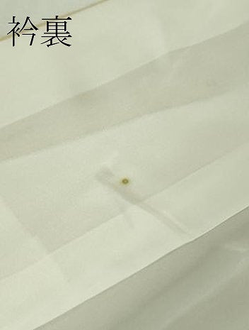 平和屋着物●極上　振袖　友禅　作家物　吉祥花文　暈し染め　逸品　DZAB5382kh6