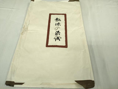 平和屋本店●極上　浦野理一　経節紬　背抜き仕立て　絣間道　たとう紙付き　逸品　未使用　DZAB5400kh6