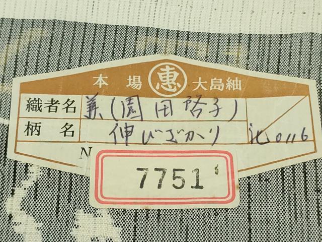 平和屋本店●極上　本場大島紬 白恵泥 恵大島織物 二代目・恵美知雄謹製 本場大島紬 白大島 7マルキ　証紙付き　逸品　未使用　DZAB5444kh6