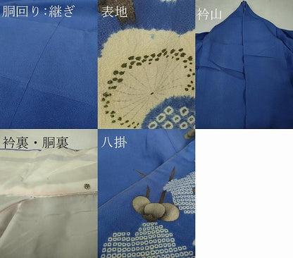 平和屋本店●極上　アンティーク 大正ロマン 訪問着 お引きずり・お引き摺り 舞妓 芸妓 芸者　梅　楓　杜若色地　金彩　逸品　DZAB5624kh6