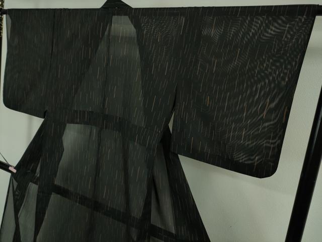 平和屋着物＊極上　夏物　洗える最高級着物　＜英＞はなぶさ謹製　小紋　絽　黒地　逸品　DZAB5651kh6