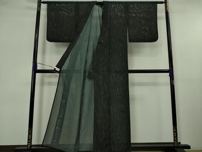 平和屋着物＊極上　夏物　洗える最高級着物　＜英＞はなぶさ謹製　小紋　絽　黒地　逸品　DZAB5651kh6