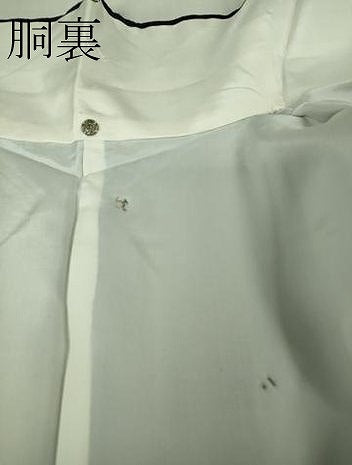 平和屋着物●極上　本場結城紬　重要無形文化財　100亀甲　風景文　逸品　DZAB5672kh6