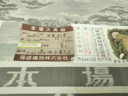 平和屋着物●極上　都喜ヱ門　本場大島紬　白大島　7マルキ　遊楽叙景　藤絹織物謹製　証紙付き　逸品　未使用　DZAB5691kh6