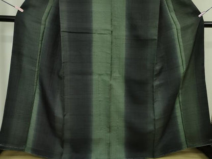 平和屋本店●極上　インド・アッサム　野蚕糸　手織　ムガシルク　間道　逸品　未使用　DZAB5890kh6