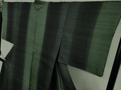 平和屋本店●極上　インド・アッサム　野蚕糸　手織　ムガシルク　間道　逸品　未使用　DZAB5890kh6