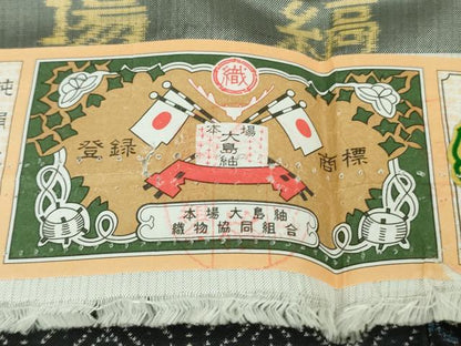 平和屋着物●極上　本場縞大島紬　染大島　訪問着　名物裂　舞花文　堀之内織物謹製　証紙付き　逸品　未使用　DZAB6062kh6