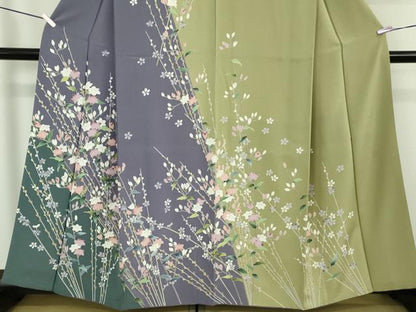 平和屋着物●極上　訪問着　友禅　枝花文　枝蕾　逸品　DZAB6080kh6