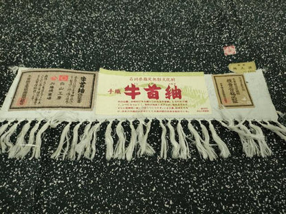 平和屋着物●極上　石川県指定無形文化財　牛首紬　白山工房　手織り　九r字　証紙付き　逸品　DZAB6098kh6