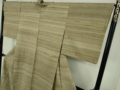 平和屋着物●極上　インド・アッサム　野蚕糸　手織　ムガシルク　逸品　DZAB6396kh6