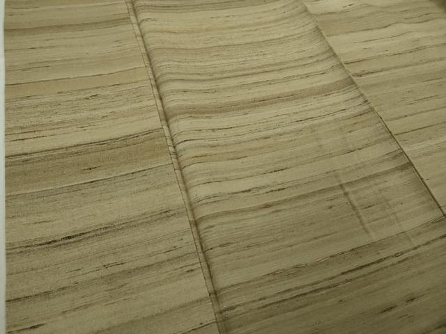 平和屋着物●極上　インド・アッサム　野蚕糸　手織　ムガシルク　逸品　DZAB6396kh6