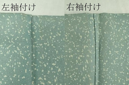 平和屋本店●極上　人間国宝　森口華弘　蒔糊友禅　蒔糊散らし　訪問着　枝菊　金彩　逸品　DZAB6766kh6