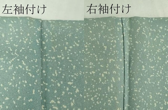平和屋本店●極上　人間国宝　森口華弘　蒔糊友禅　蒔糊散らし　訪問着　枝菊　金彩　逸品　DZAB6766kh6